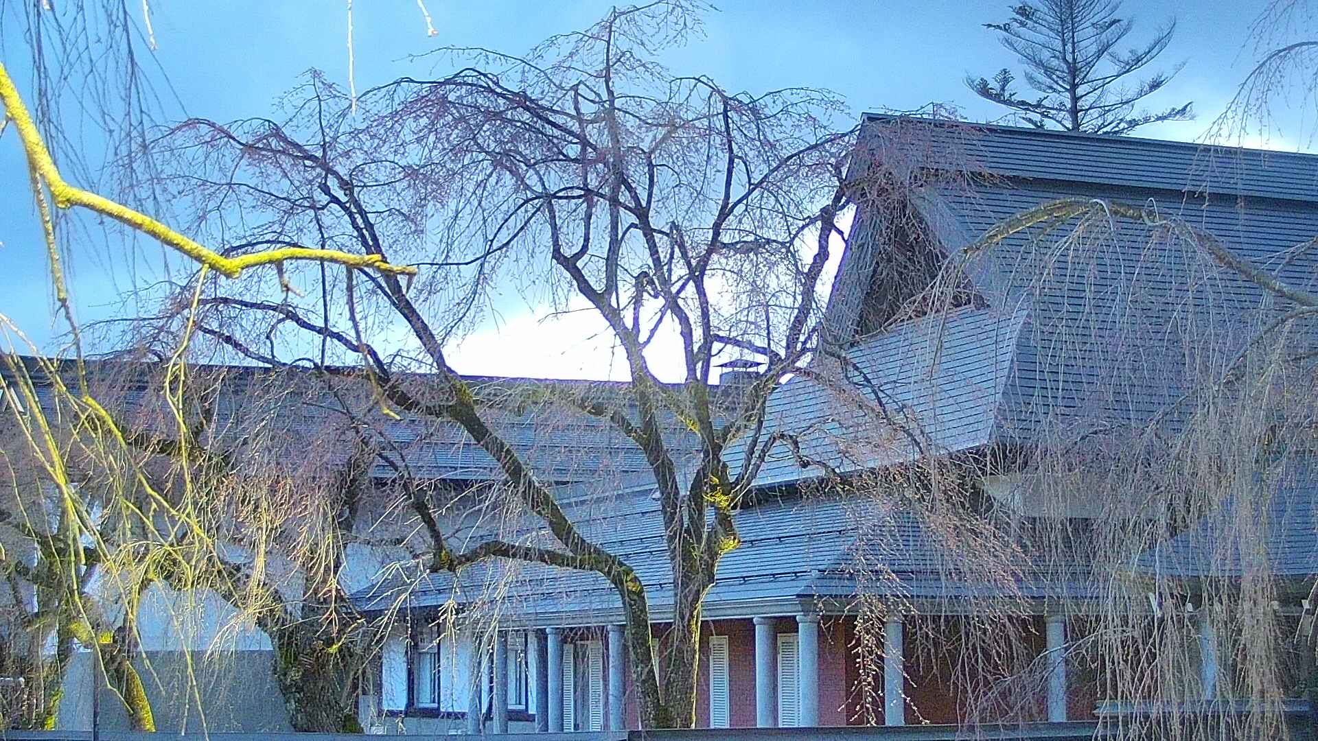 area2-20250416183106.jpg