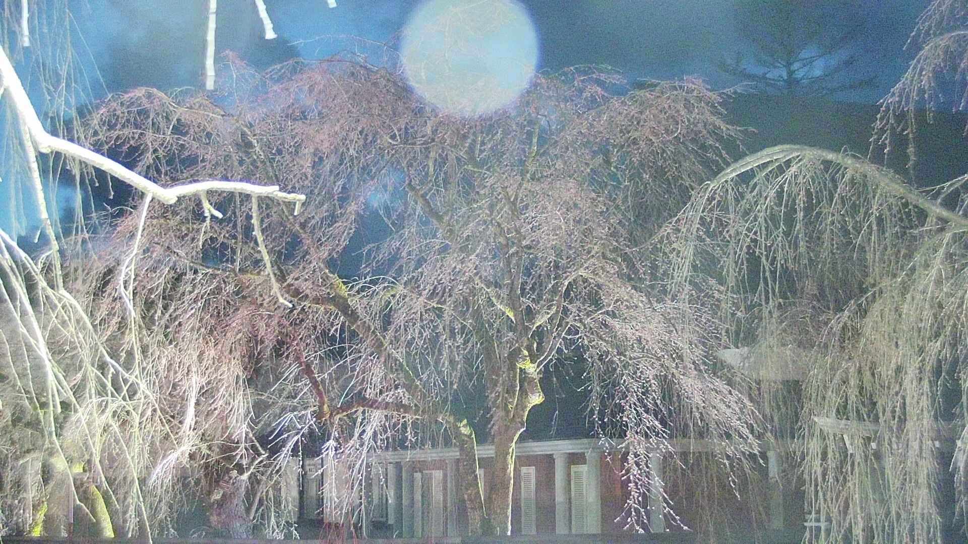area2-20250416190105.jpg