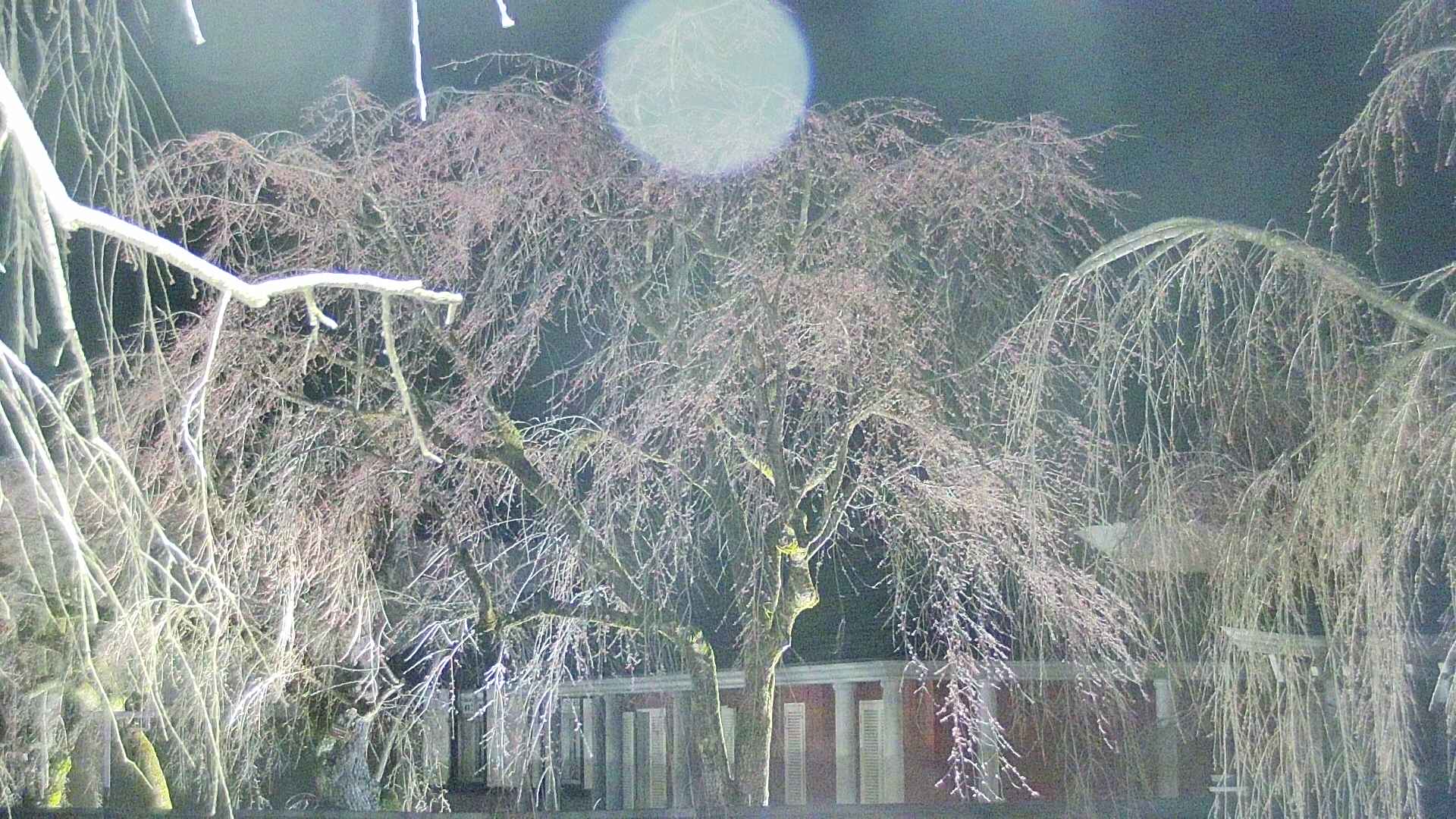 area2-20250416214106.jpg
