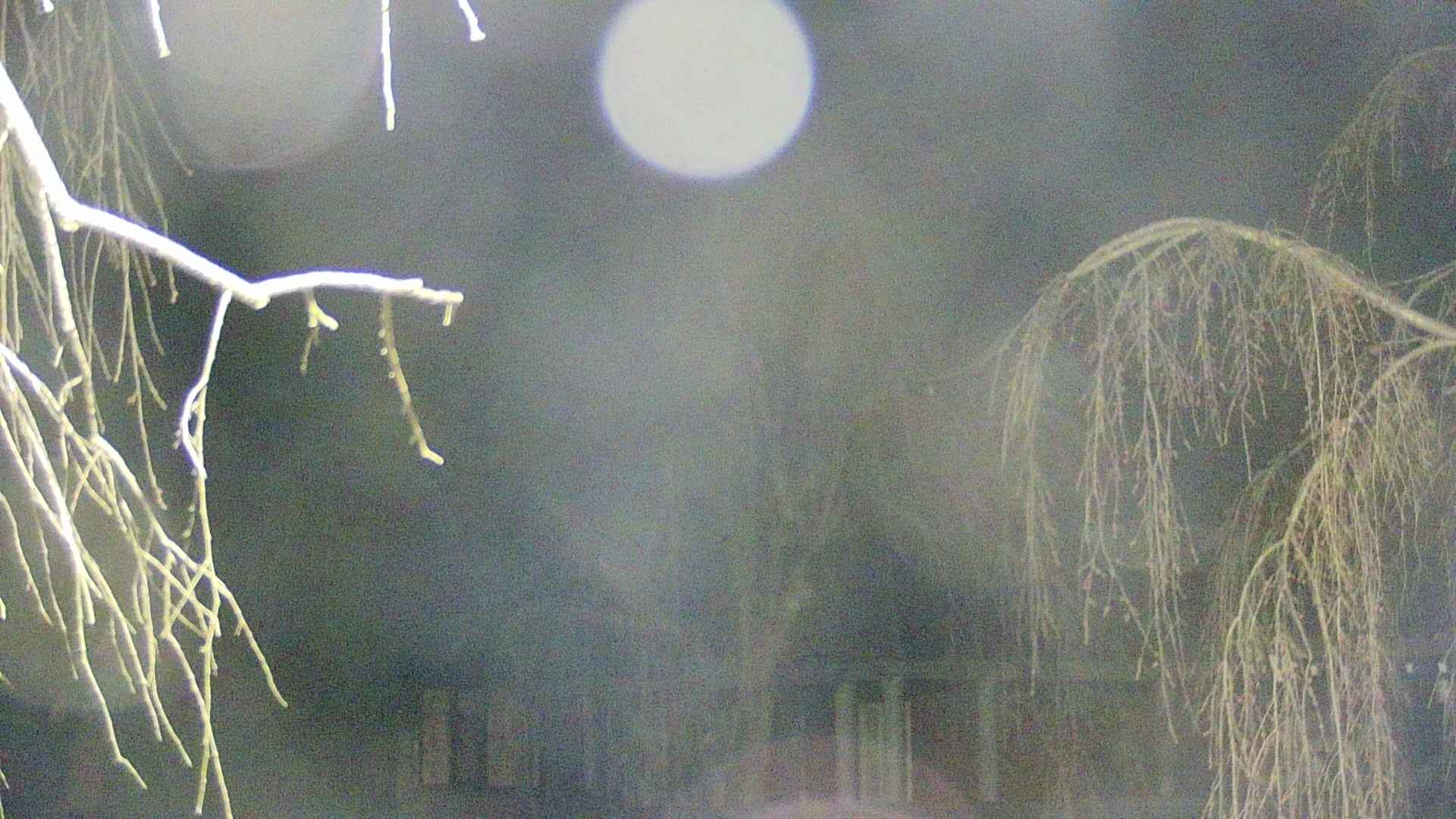 area2-20250417012107.jpg