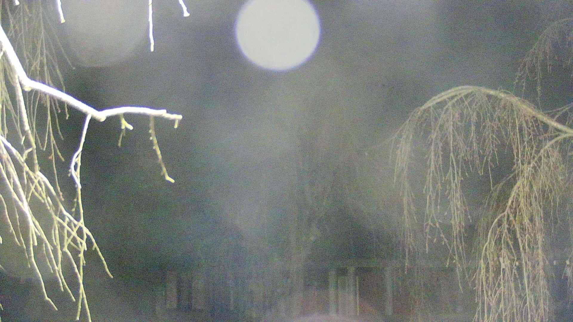area2-20250417015107.jpg