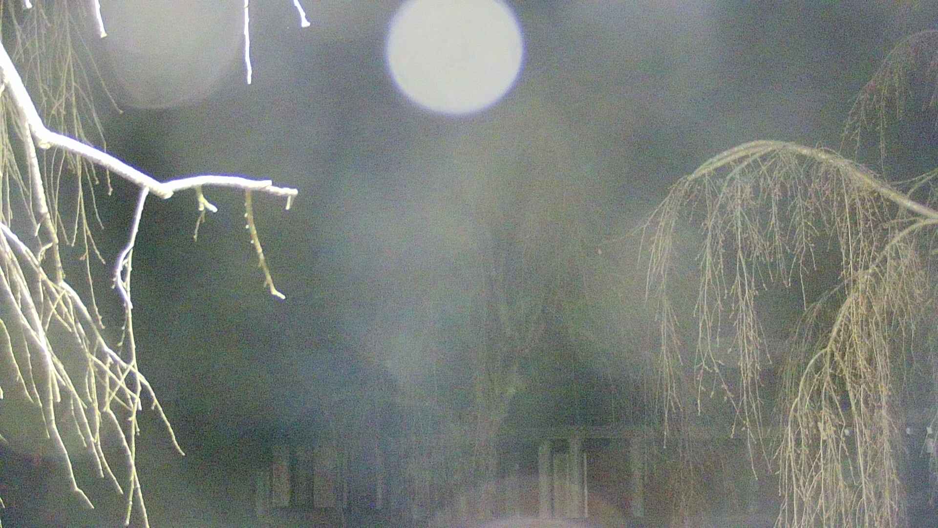 area2-20250417021106.jpg