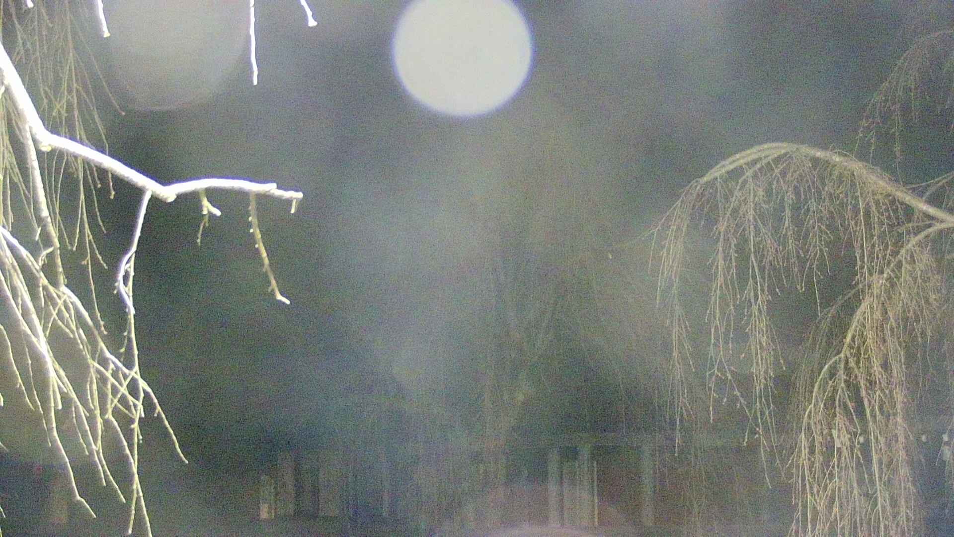 area2-20250417024104.jpg