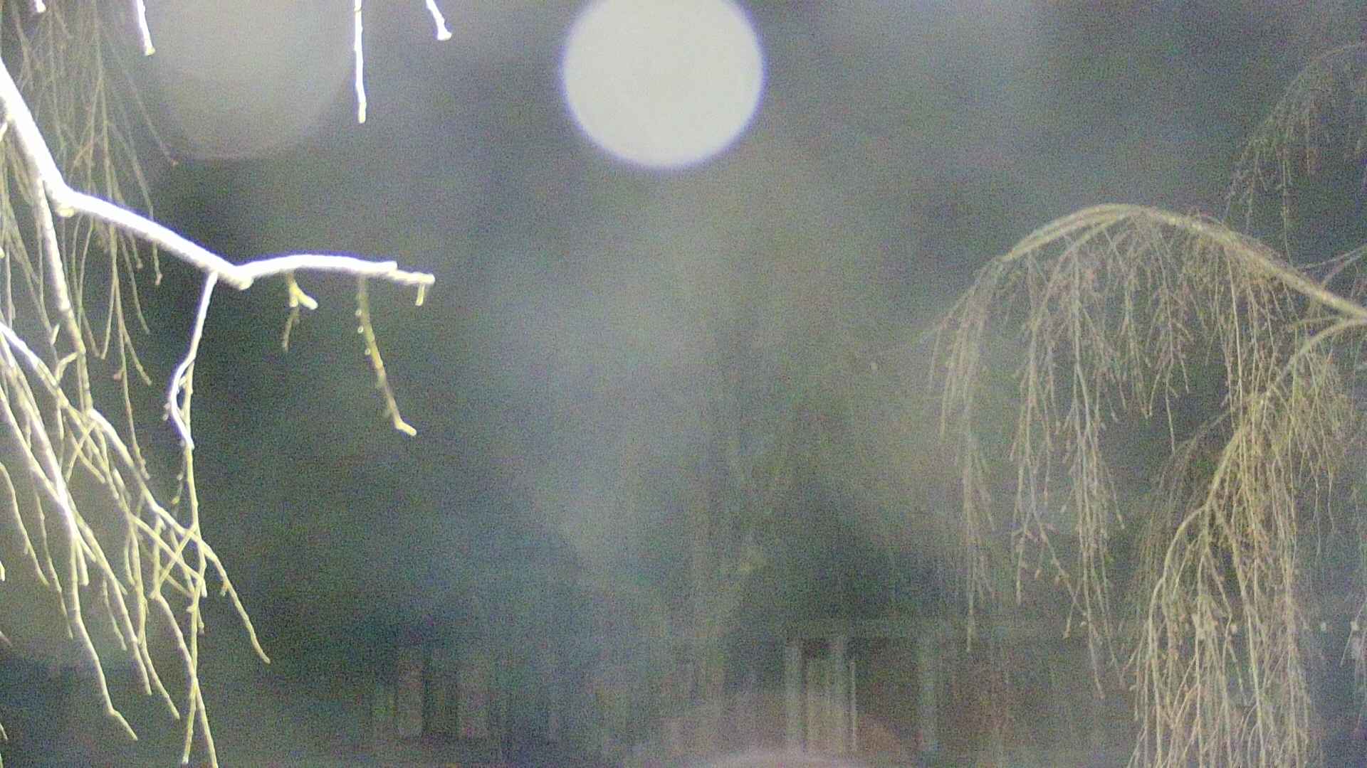 area2-20250417030106.jpg