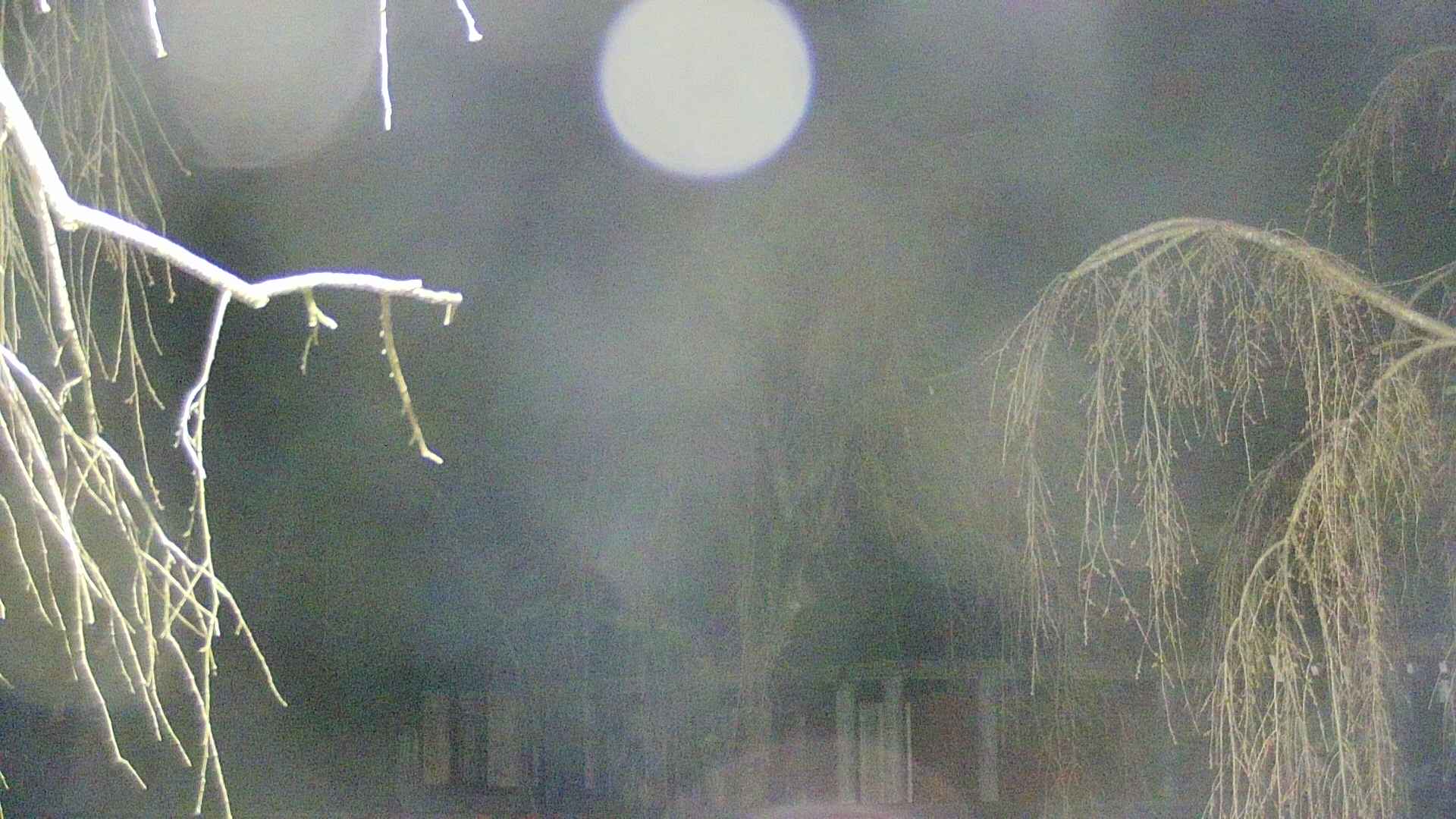 area2-20250417031106.jpg