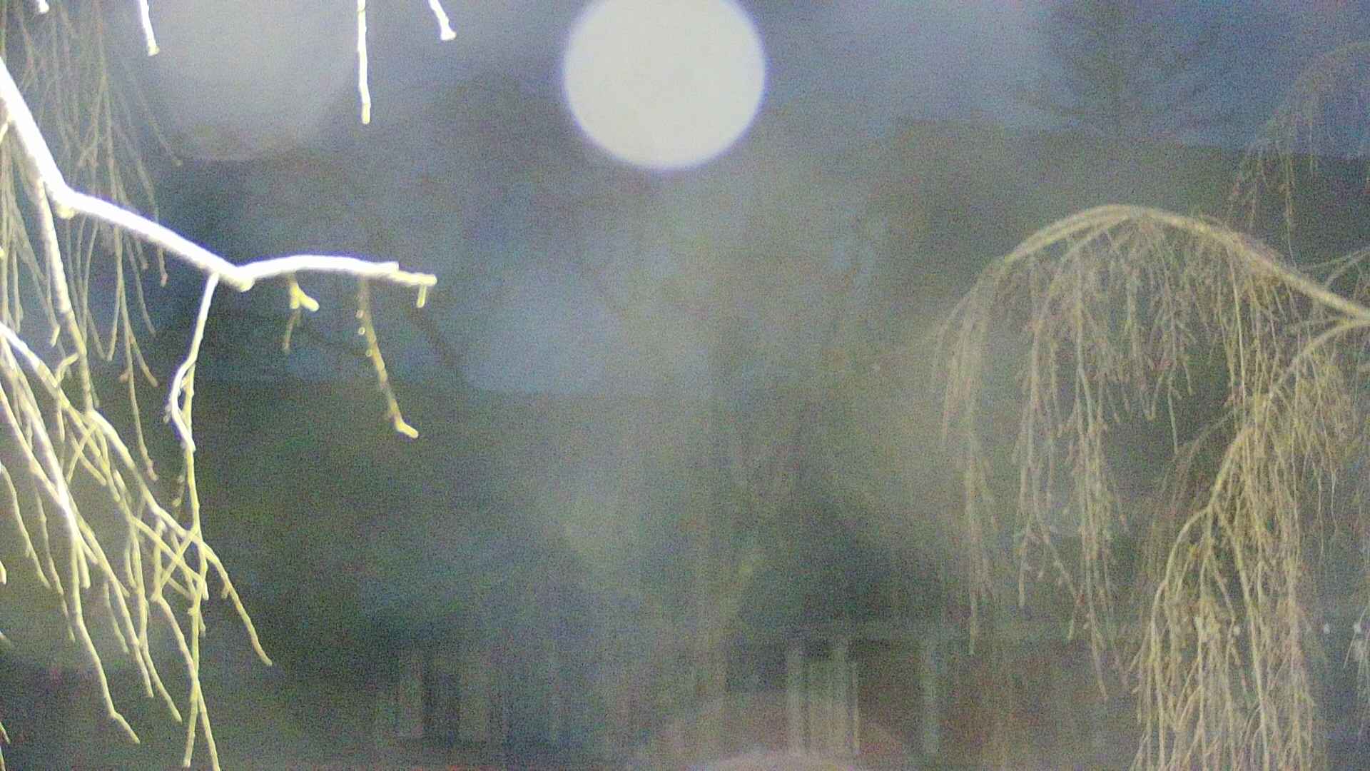 area2-20250417041107.jpg