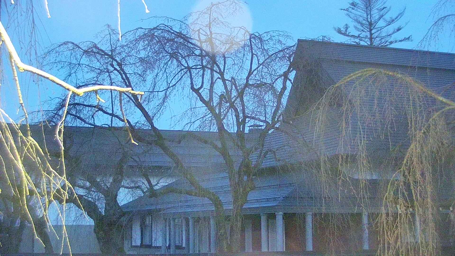 area2-20250417043107.jpg