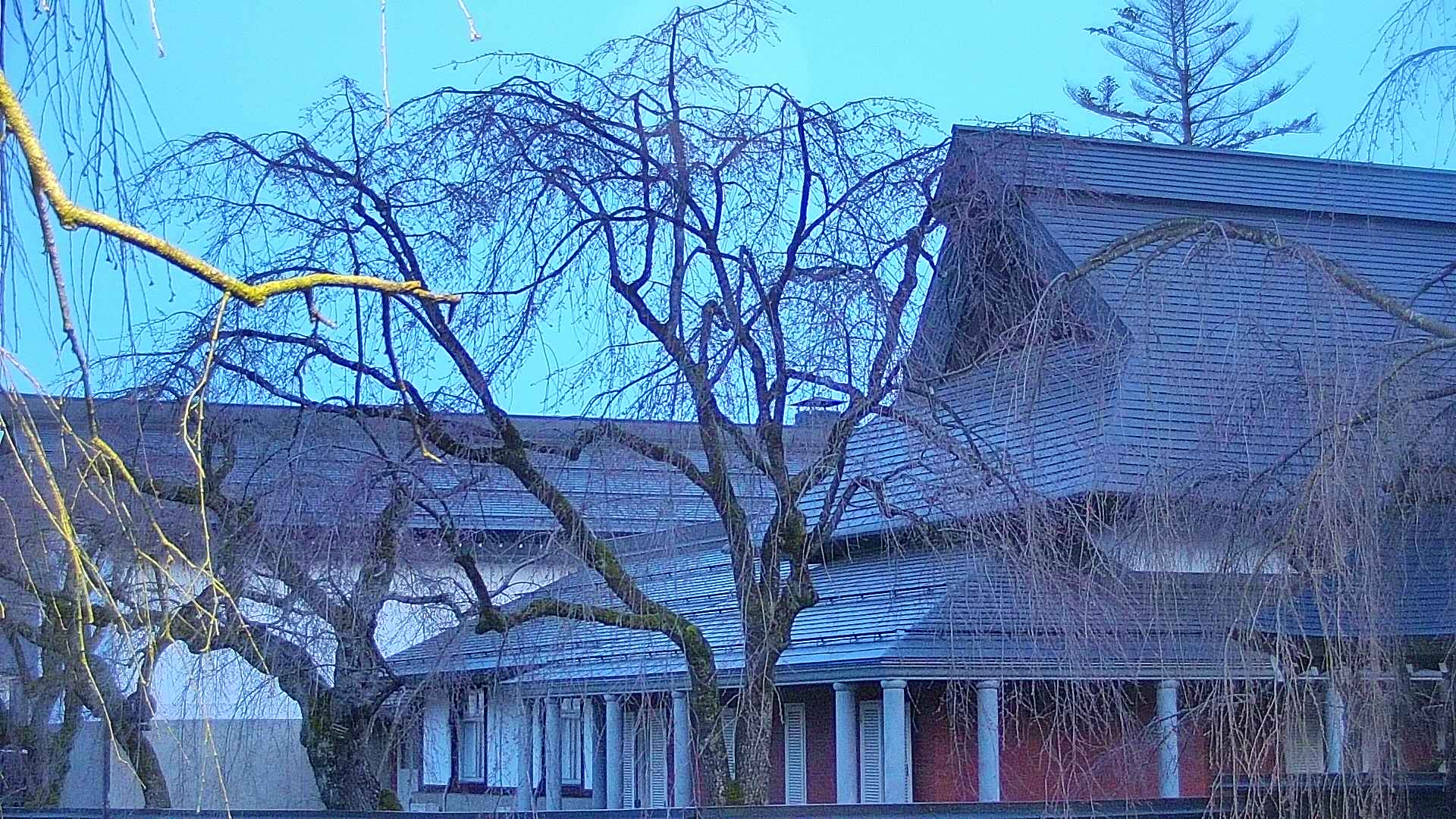 area2-20250417044106.jpg
