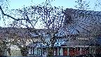 area2-20250417053107.jpg