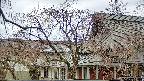 area2-20250417121106.jpg