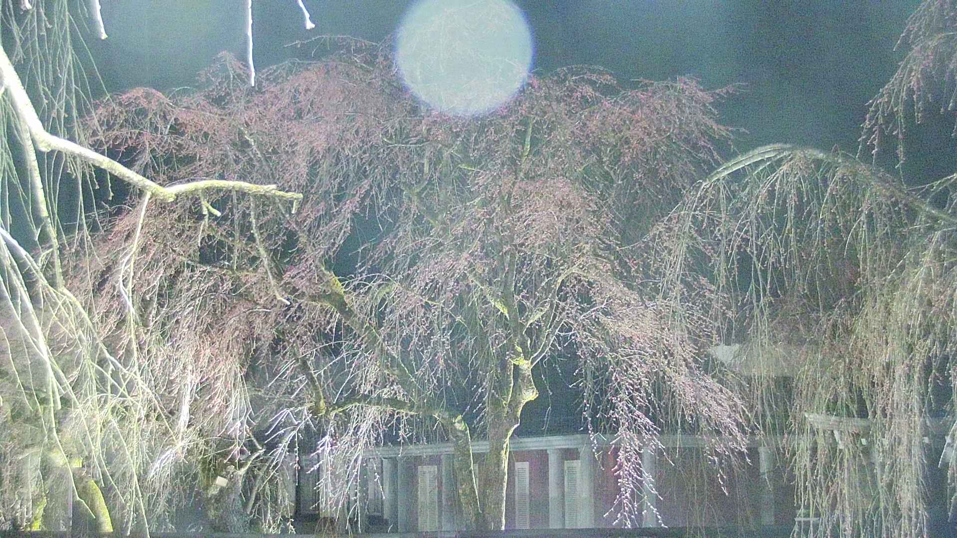 area2-20250417190106.jpg