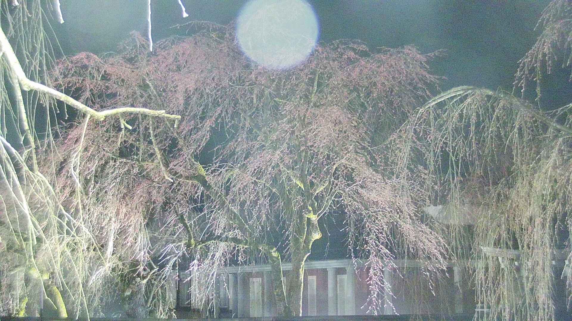 area2-20250417214106.jpg