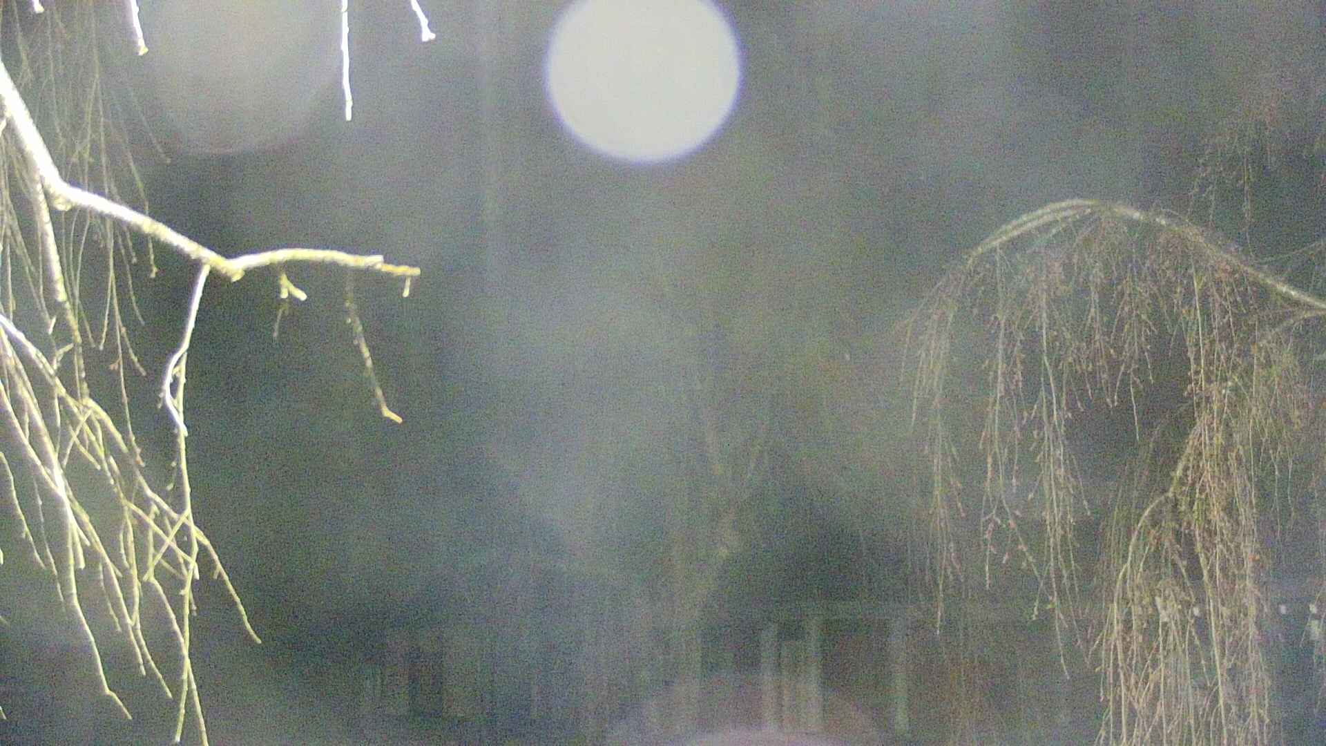 area2-20250418012106.jpg