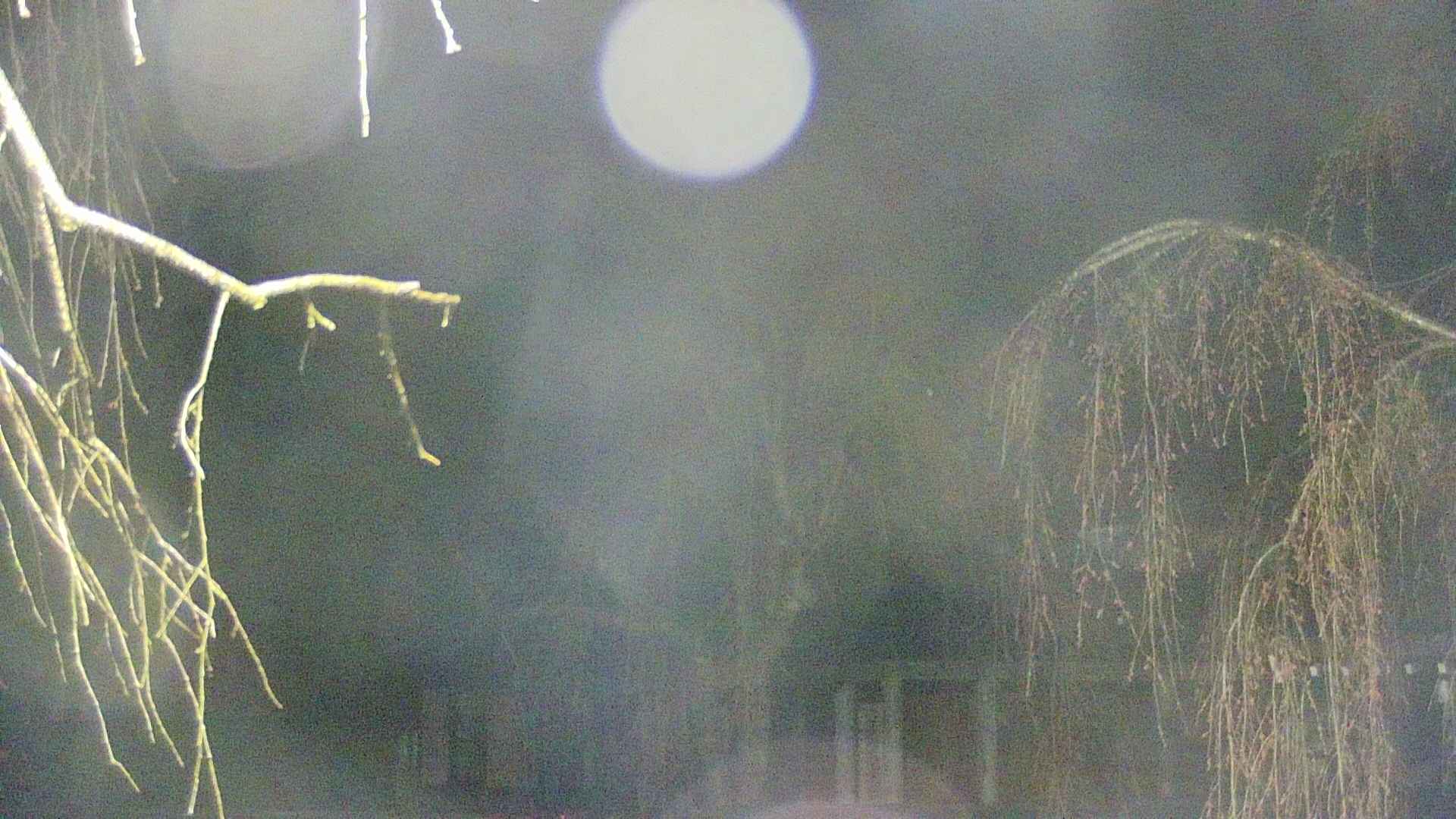 area2-20250418015106.jpg