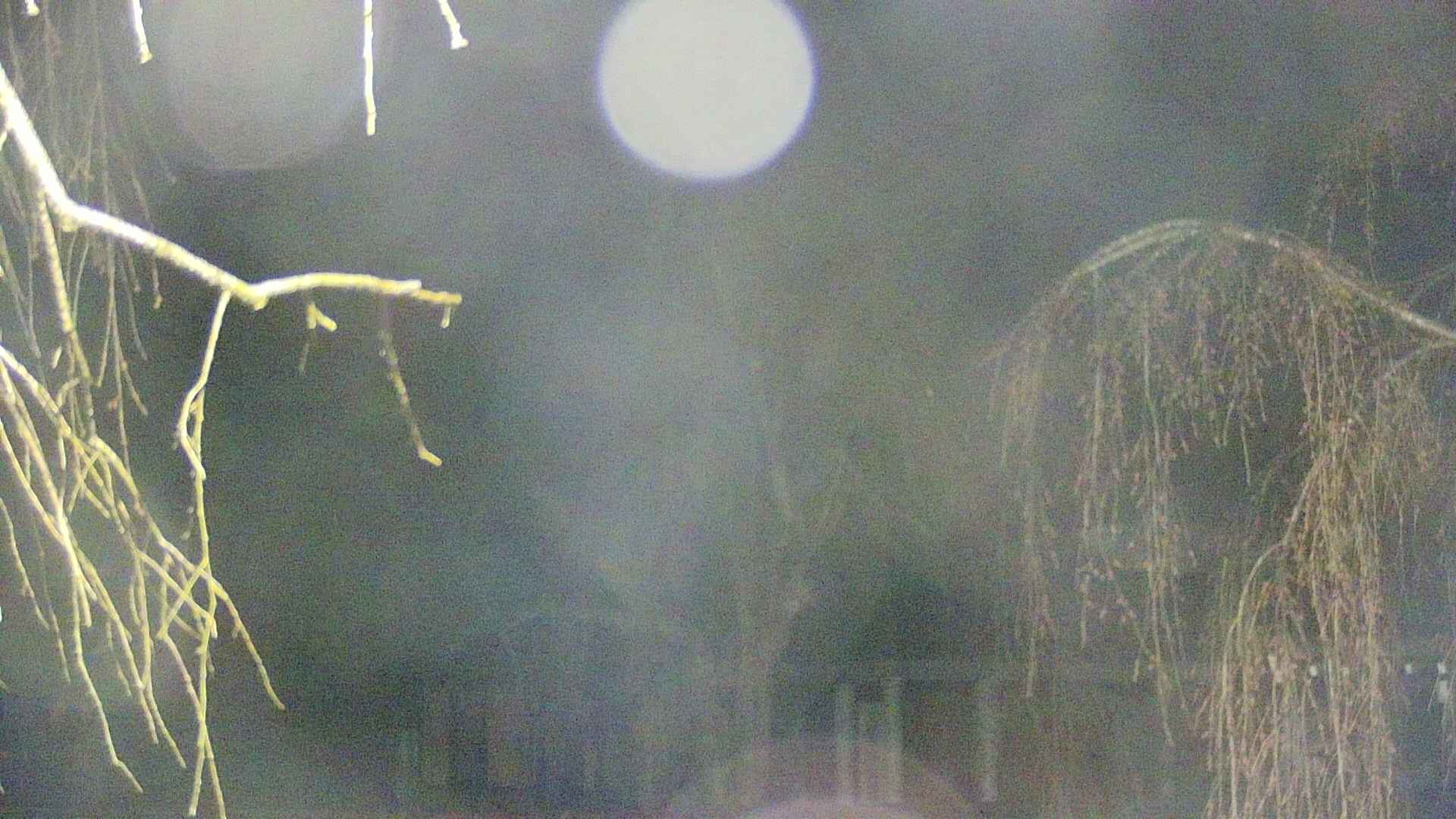 area2-20250418021104.jpg