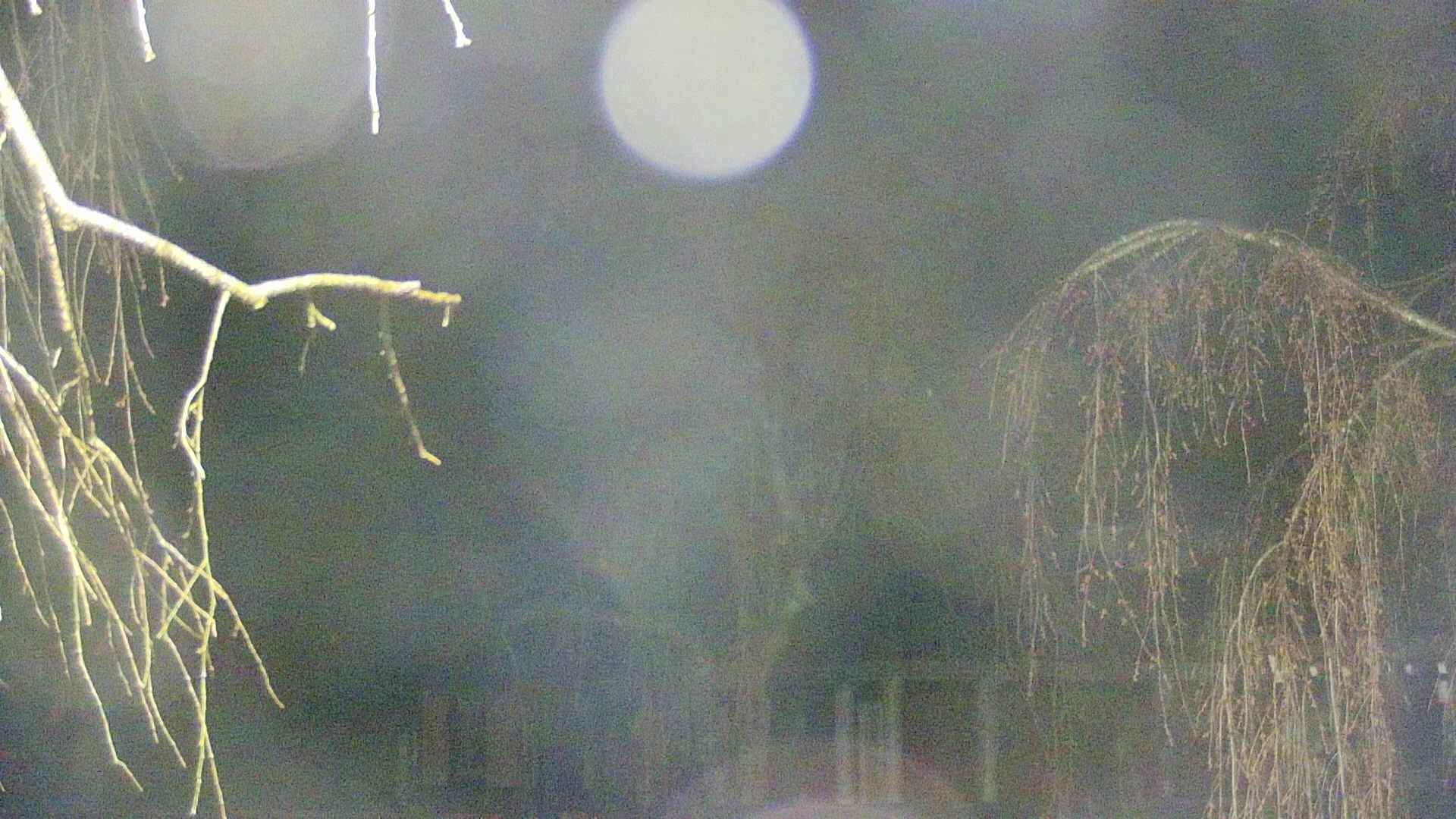 area2-20250418025105.jpg