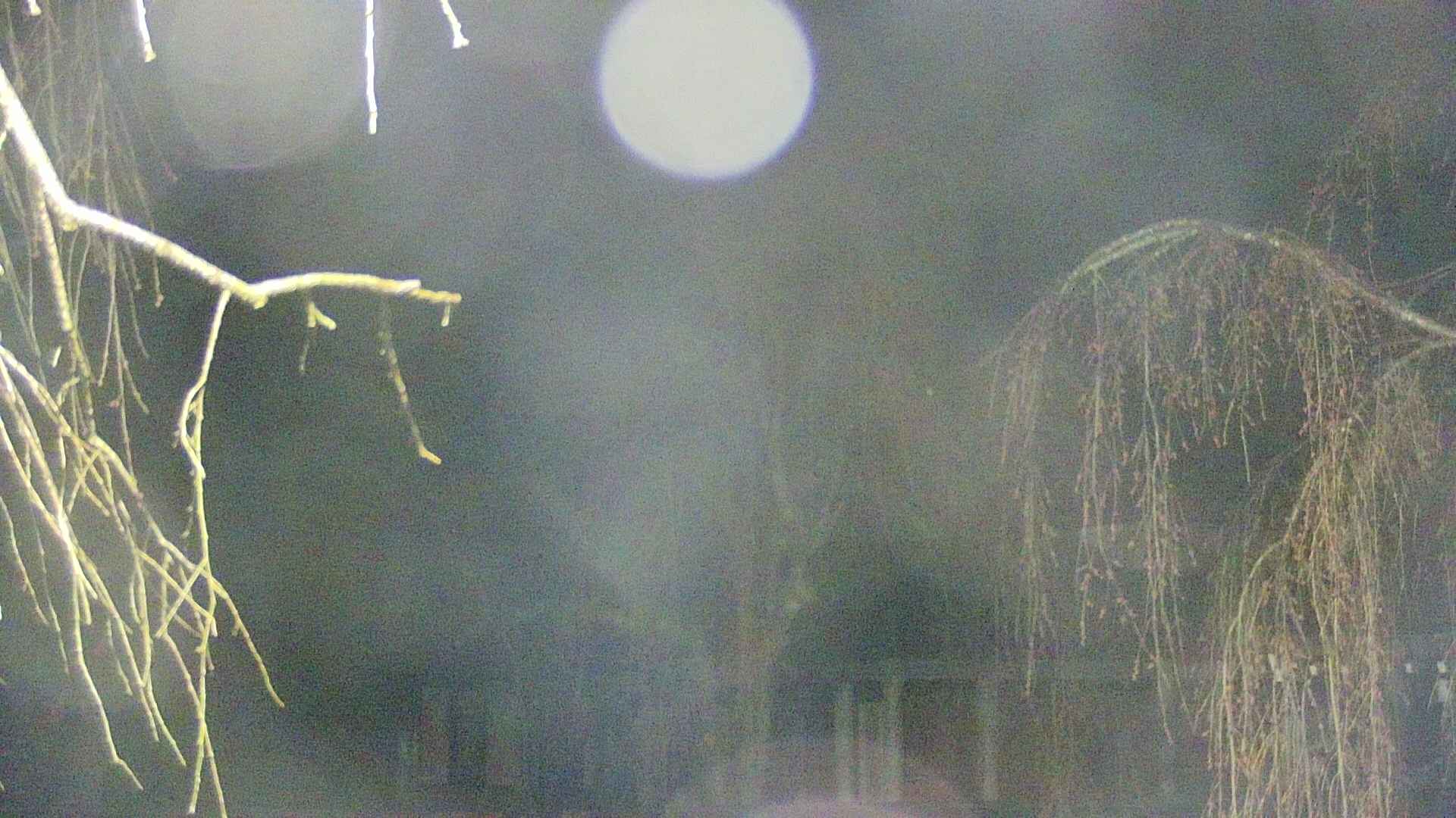 area2-20250418032105.jpg