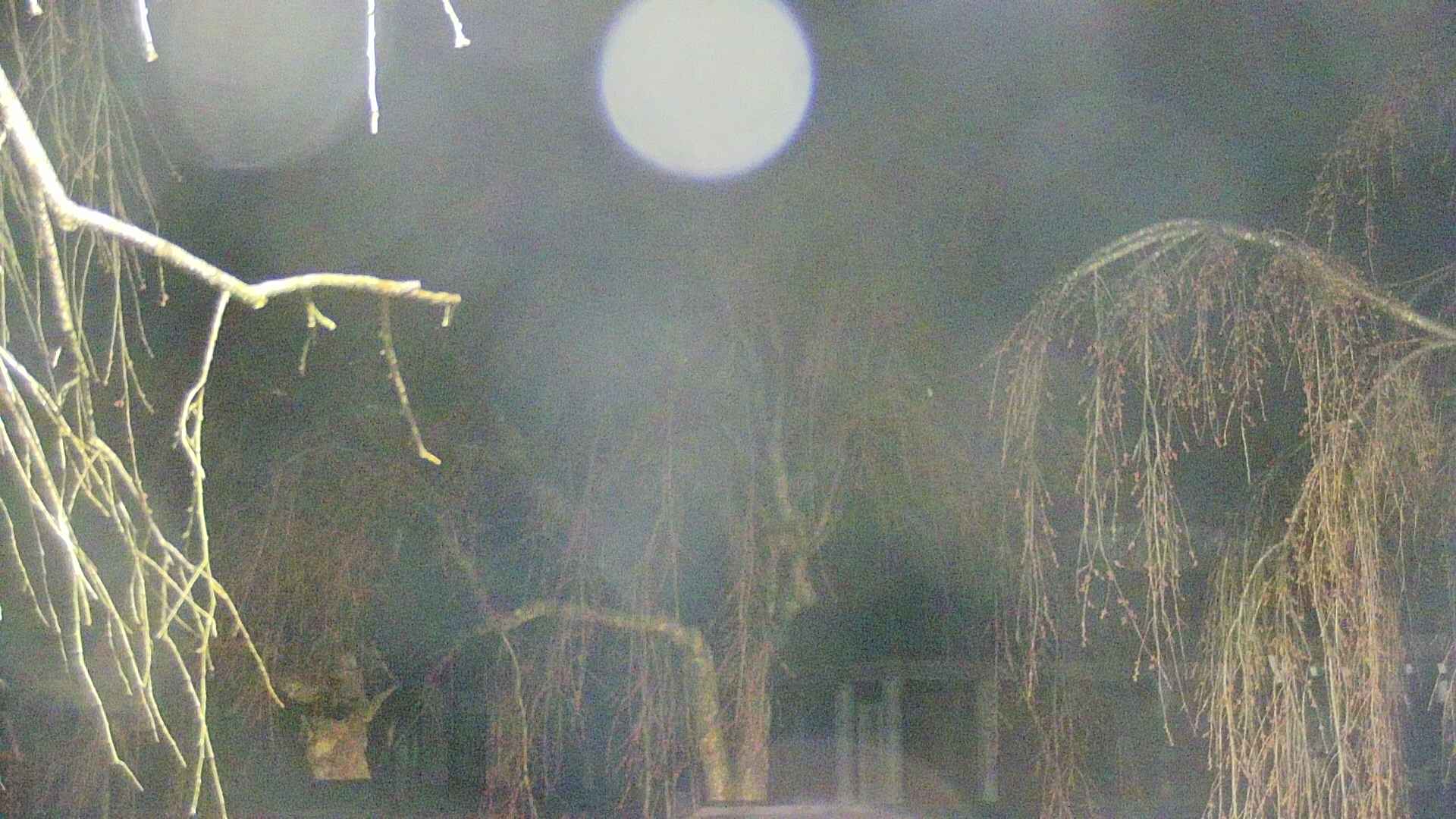 area2-20250418034105.jpg