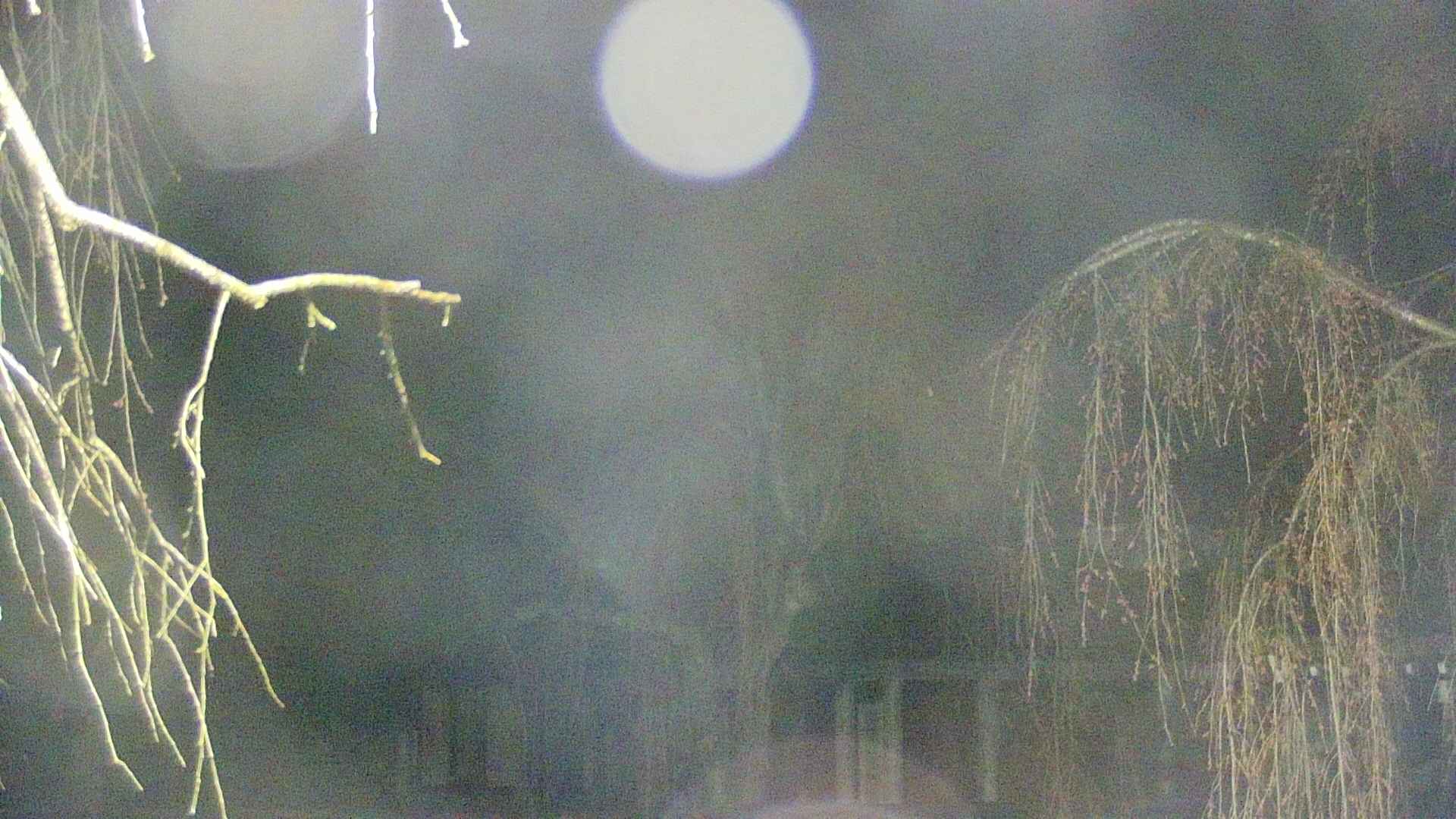 area2-20250418040107.jpg