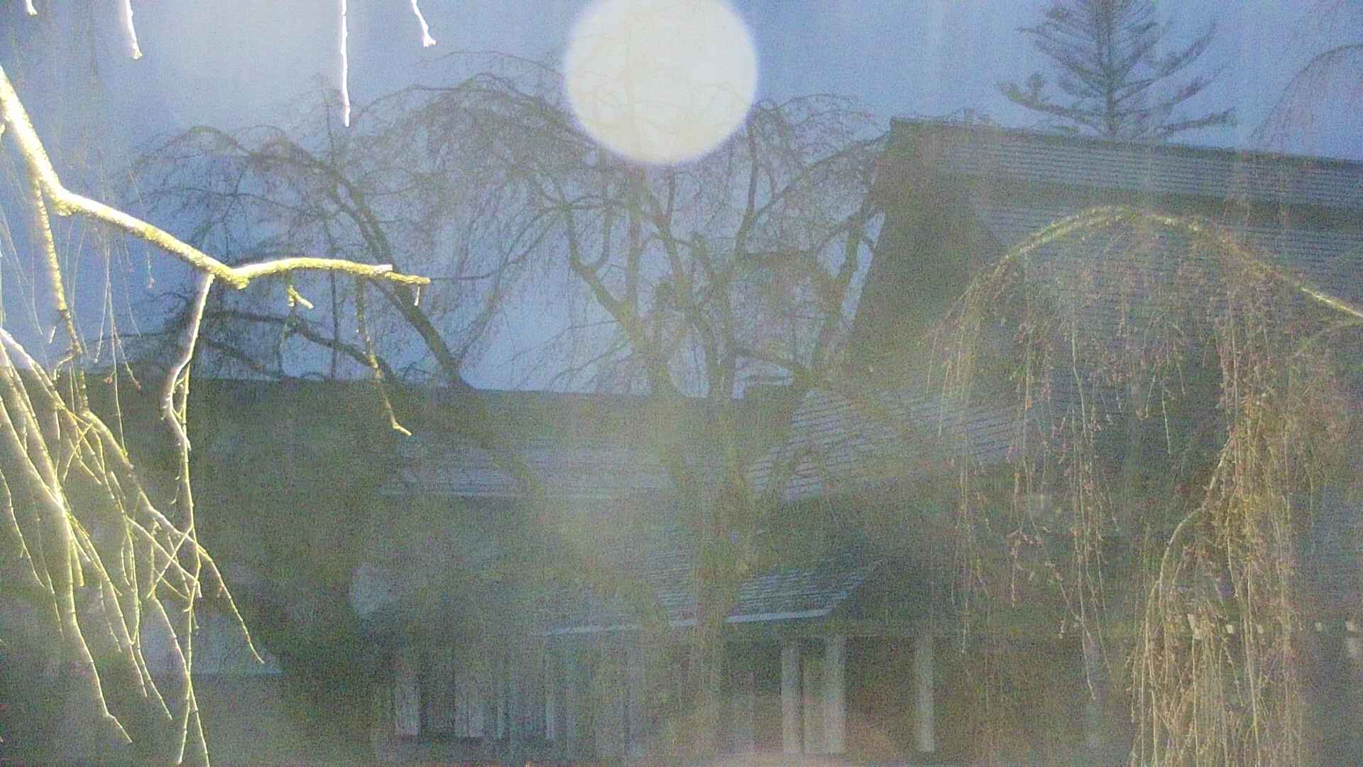 area2-20250418043121.jpg