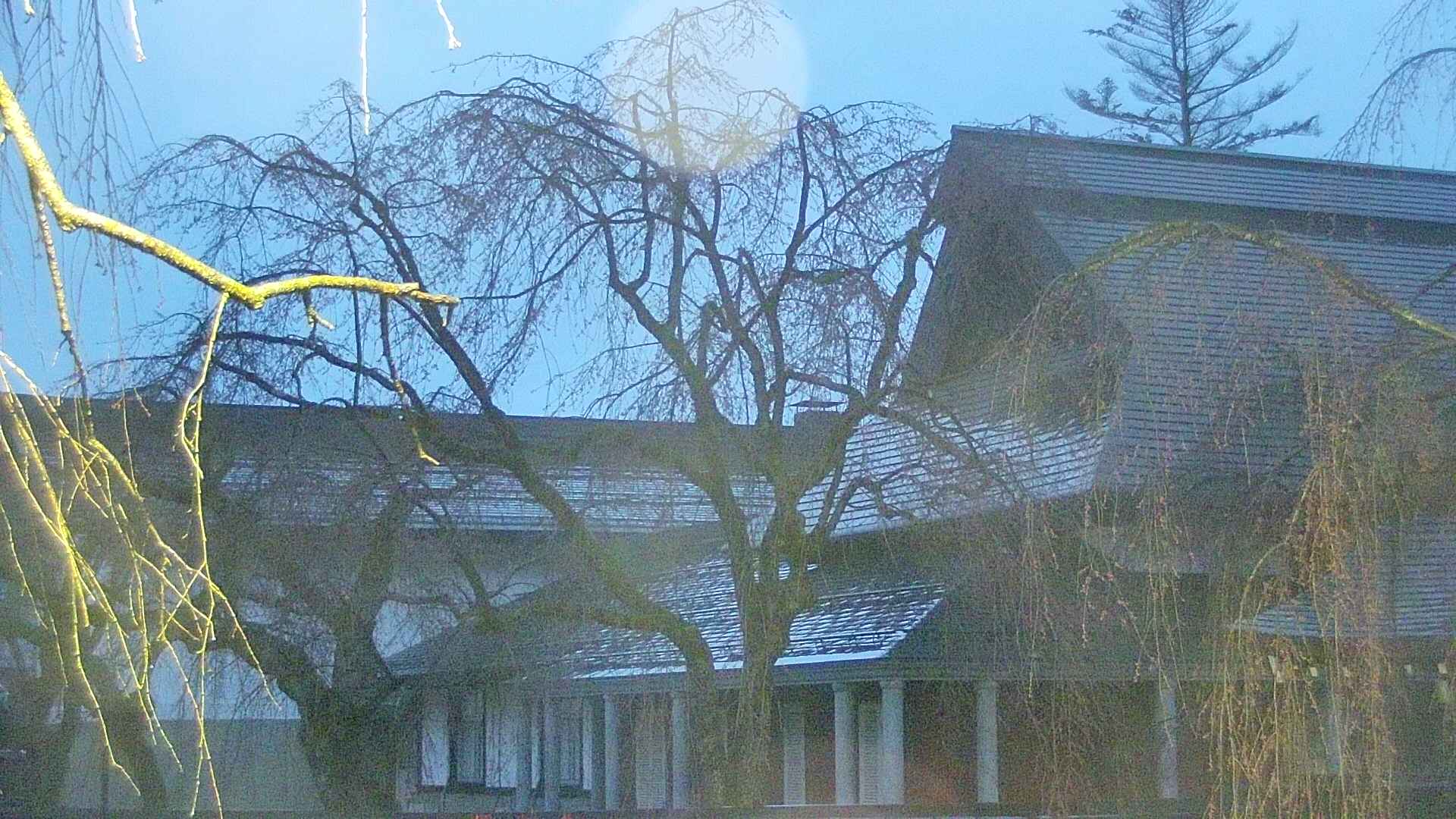 area2-20250418044106.jpg