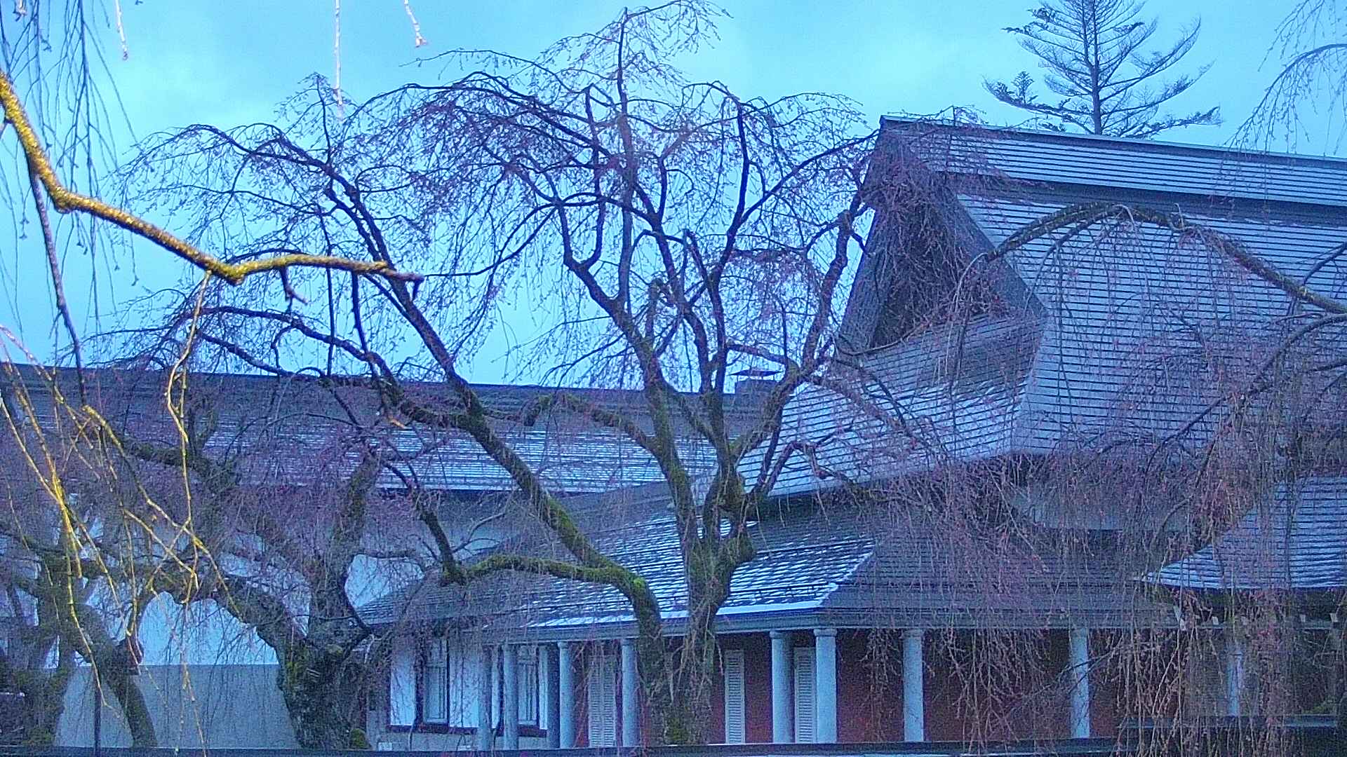 area2-20250418045106.jpg