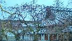 area2-20250418050106.jpg