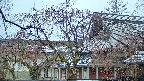 area2-20250418055105.jpg
