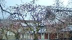area2-20250418062104.jpg