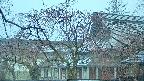 area2-20250418063105.jpg