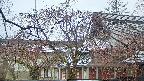 area2-20250418074107.jpg