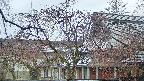area2-20250418080107.jpg