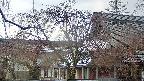 area2-20250418090106.jpg