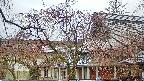 area2-20250418120107.jpg