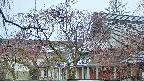 area2-20250418123106.jpg