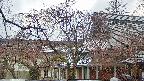 area2-20250418130106.jpg