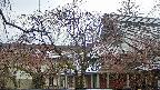 area2-20250418133106.jpg