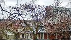 area2-20250418135106.jpg