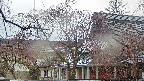 area2-20250418151106.jpg