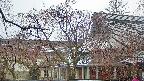 area2-20250418161107.jpg
