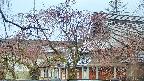 area2-20250418171105.jpg
