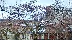 area2-20250418172106.jpg