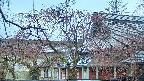area2-20250418173105.jpg