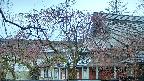 area2-20250418174106.jpg
