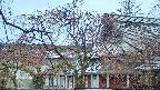 area2-20250418175107.jpg