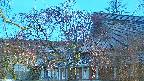 area2-20250418182106.jpg
