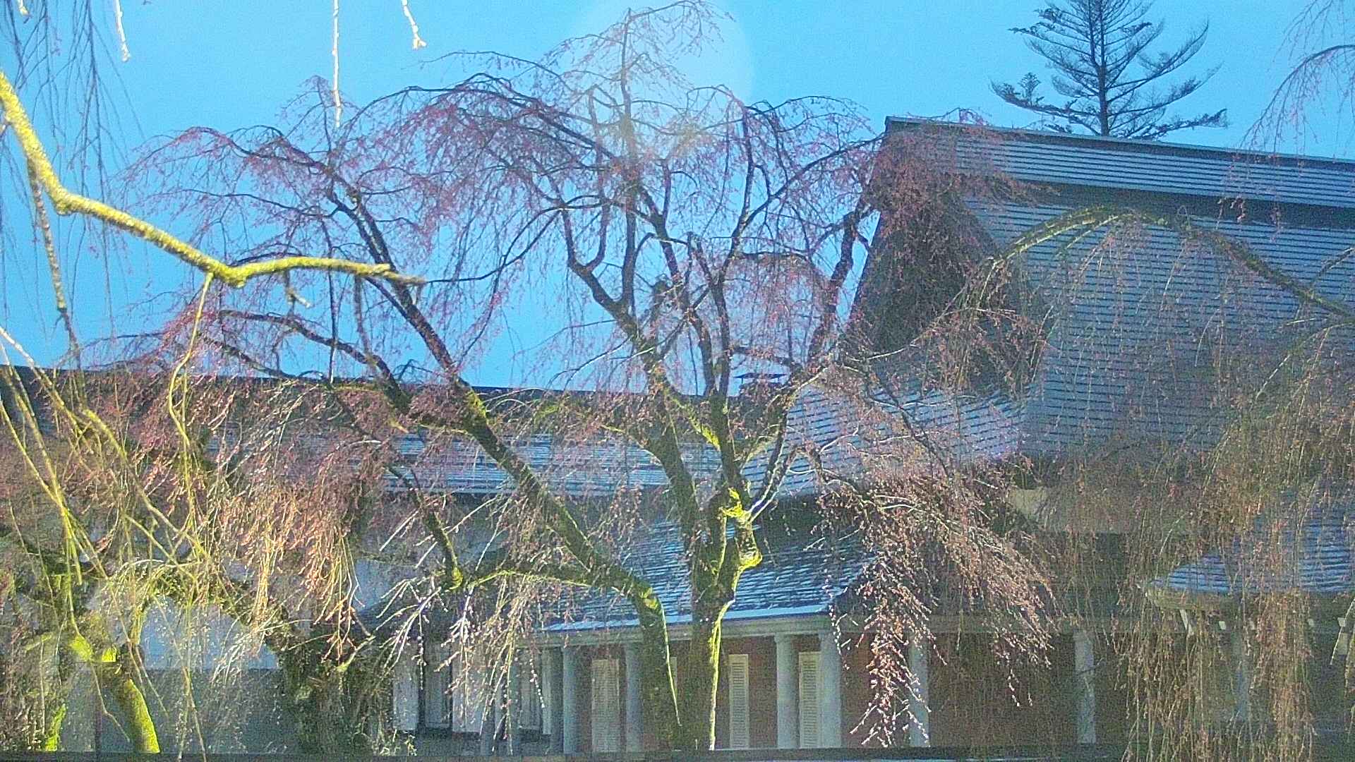 area2-20250418183106.jpg