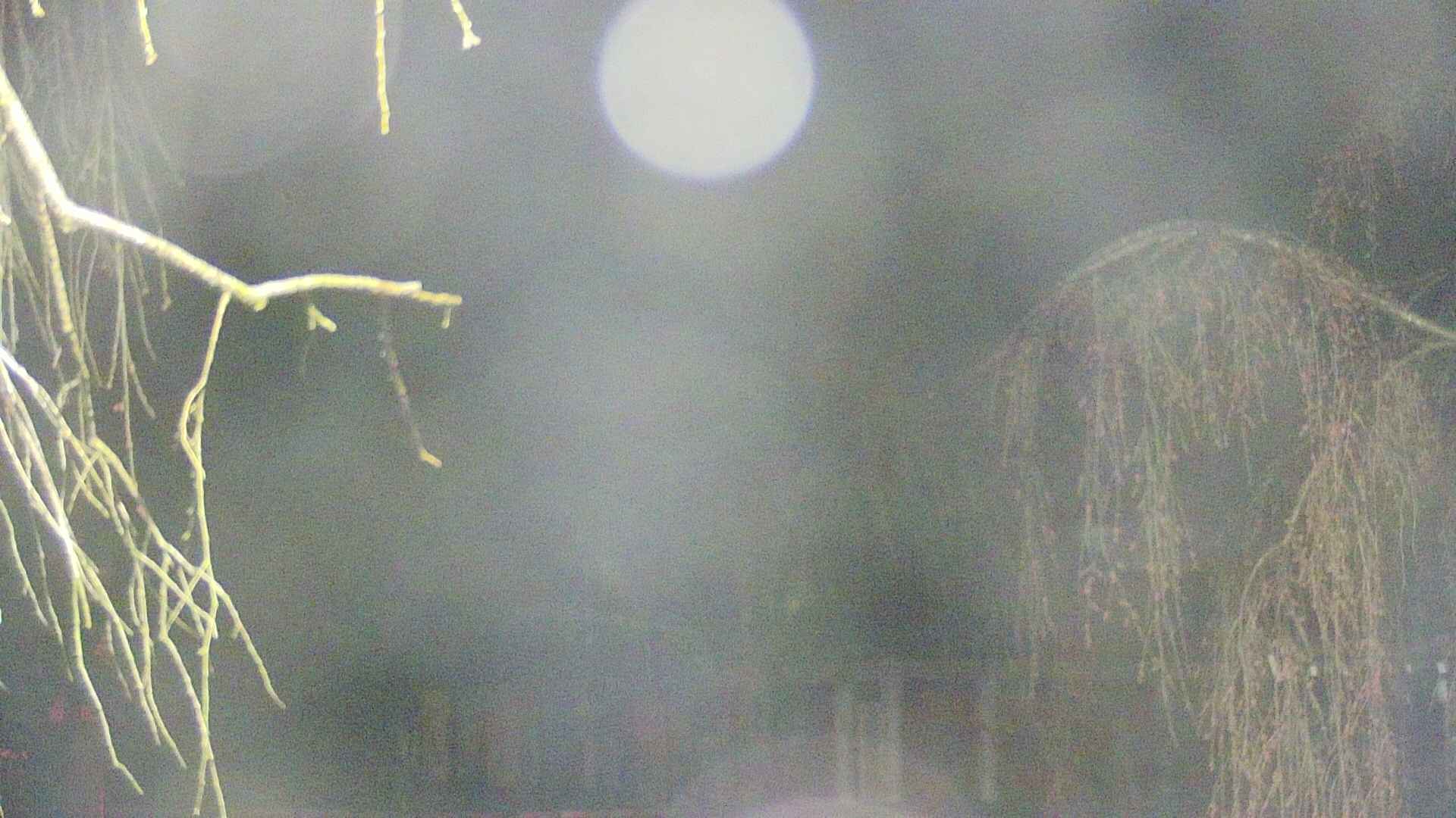 area2-20250419013106.jpg