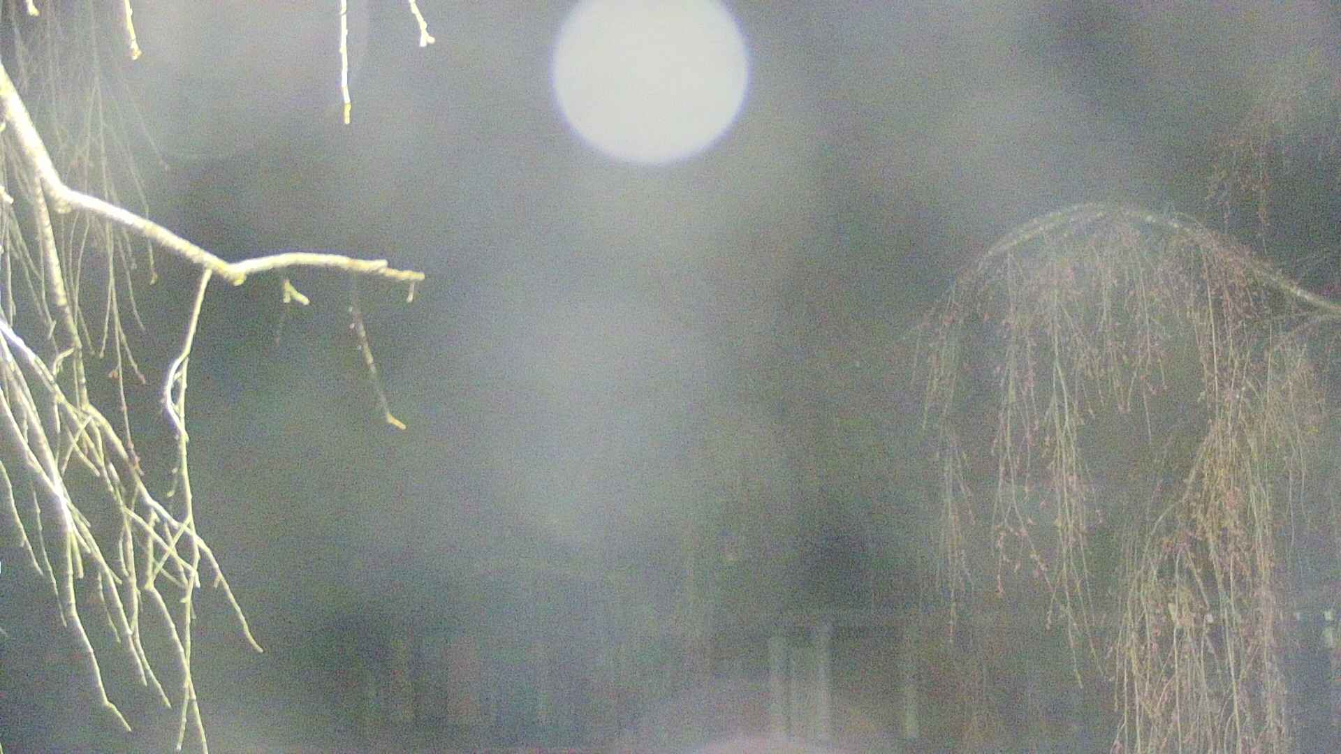 area2-20250419021106.jpg
