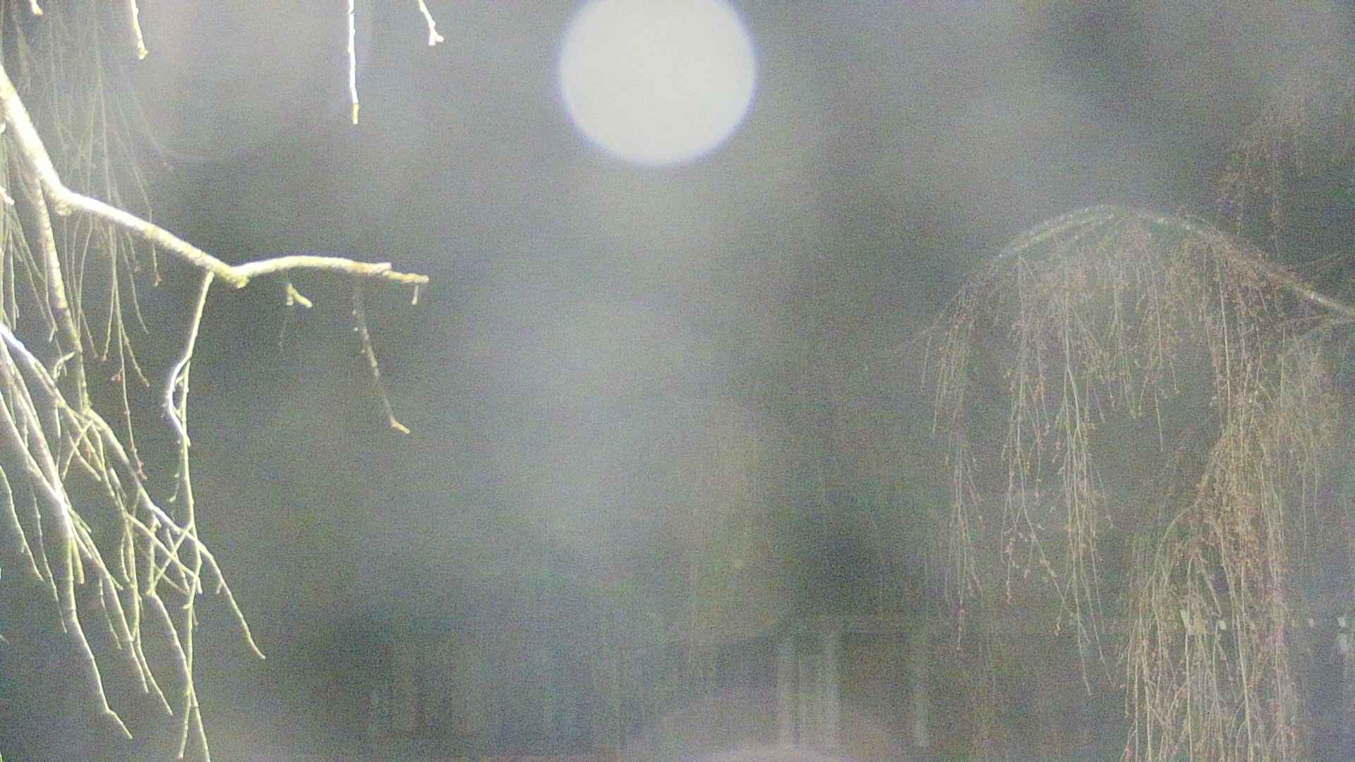 area2-20250419022106.jpg